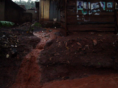 Rain washing away foundations
